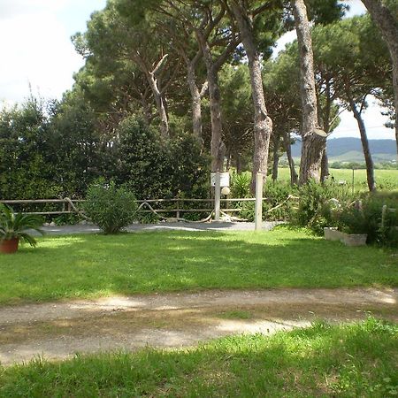 Agriturismo Ternova Alberese Bagian luar foto