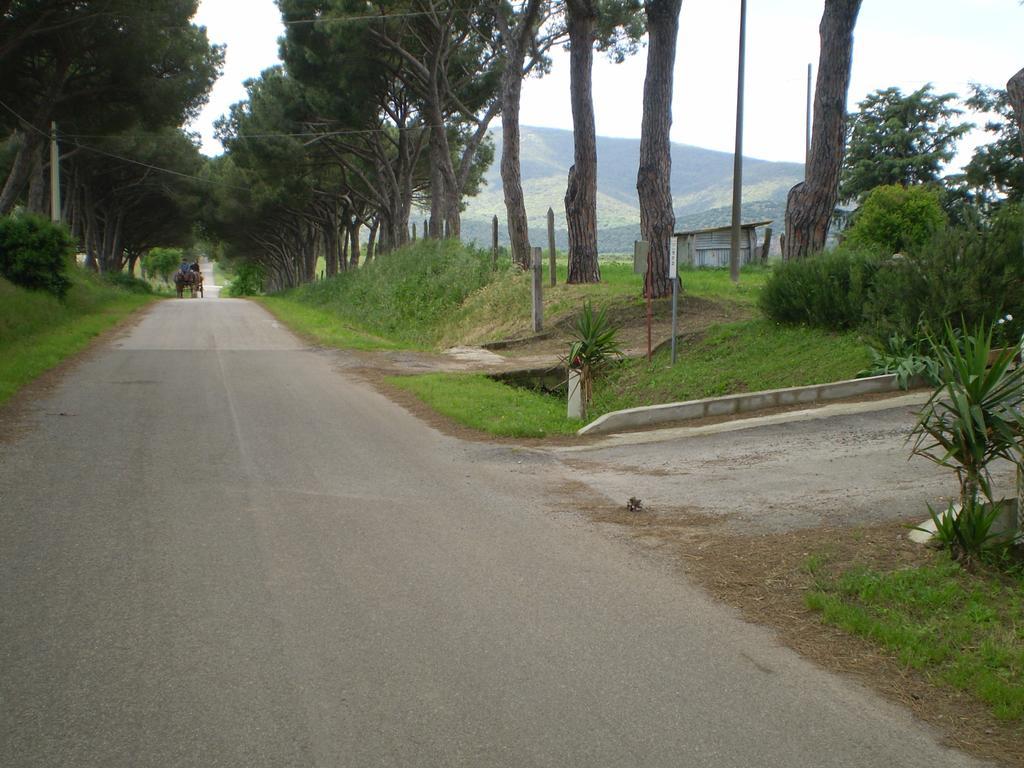 Agriturismo Ternova Alberese Bagian luar foto